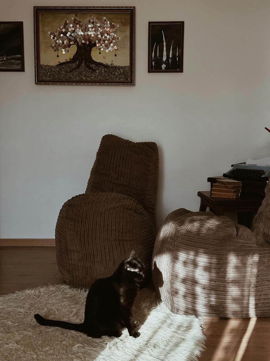 Space Made Look Cozy with Different Paintings