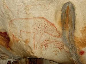 drawings at Chauvet–Pont d'Arc