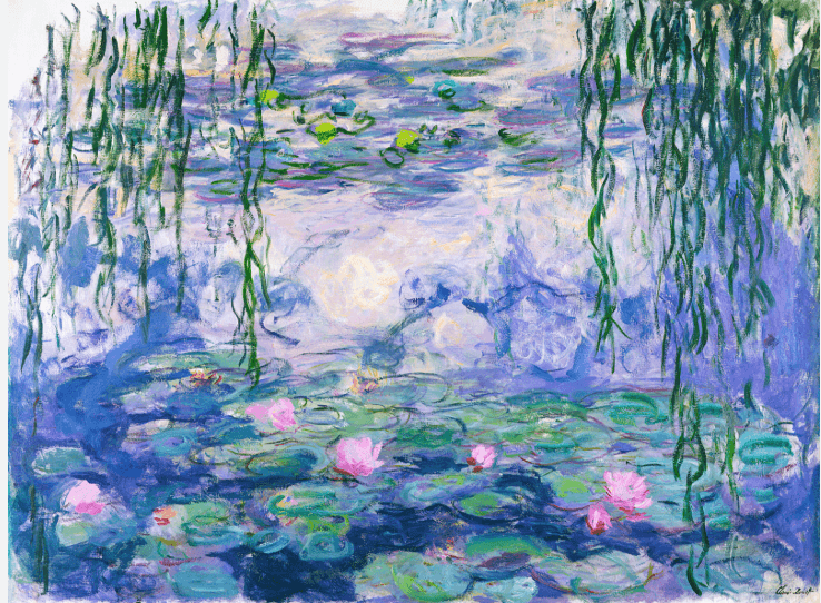  water lilies 