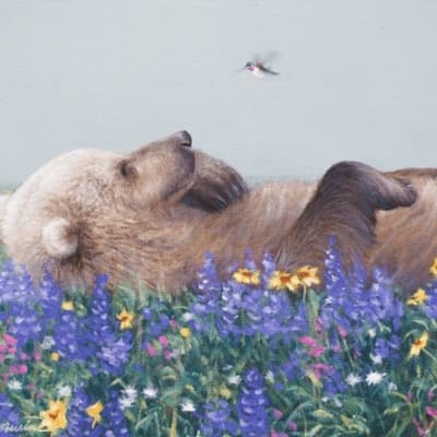 Bear With Hummingbird on Canvas