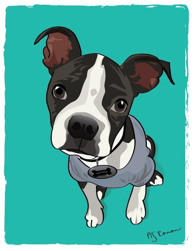 Aj Emm Pet Painting 