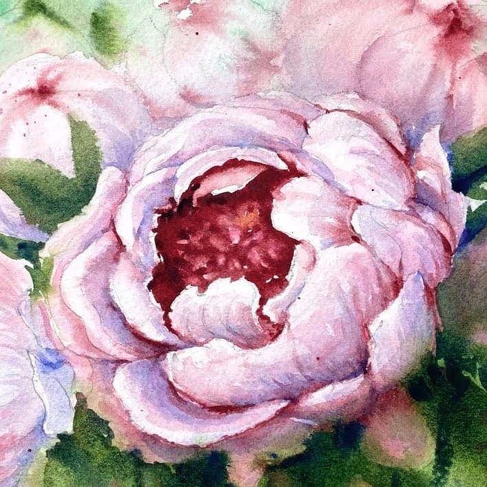 Watercolor Peonies 707 × 707