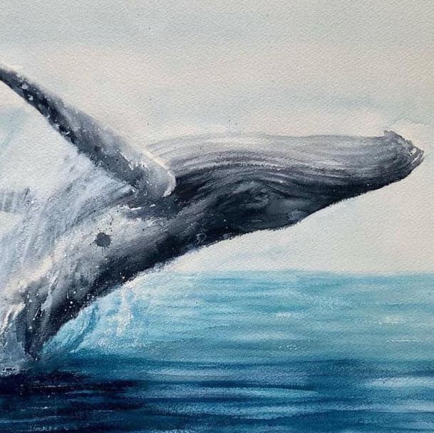 Watercolor Whale Painting 609 × 609