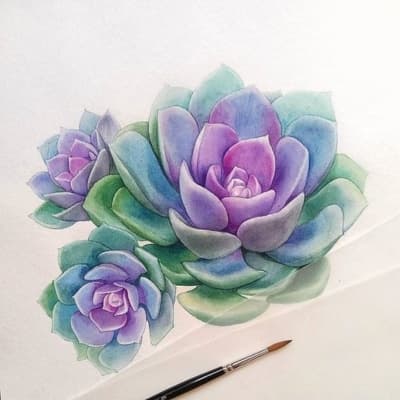 3 Easy Blue And Beautiful Flowers