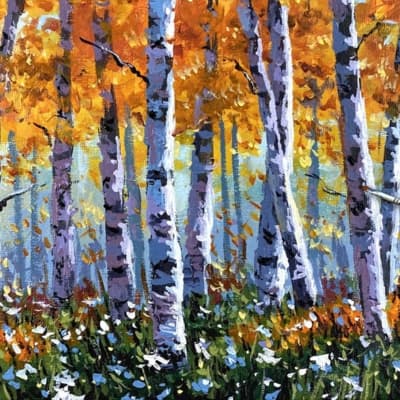 Birch Tree Forest