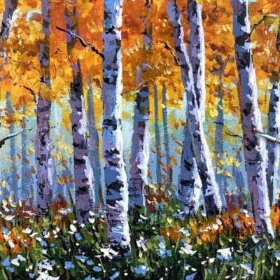 Birch Tree Forest