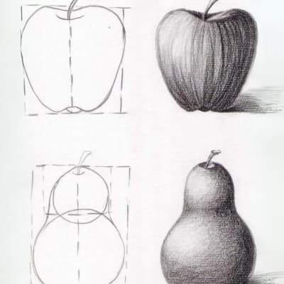 Apple and Pear as Shapes