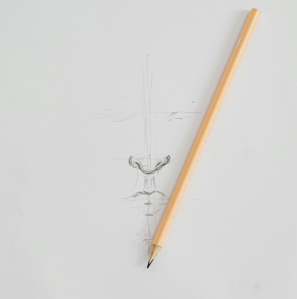 Proportions in a Portrait