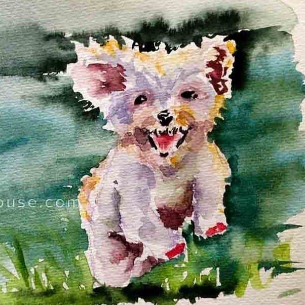 Watercolor Dog Portrait 602 × 602