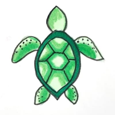 Green Sea Turtle