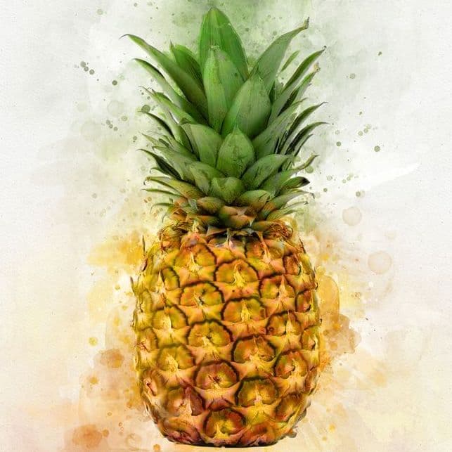 Watercolor Pineapple Painting 643 × 643