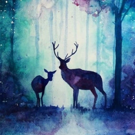 Deers in a Forest Watercolor 567 × 567