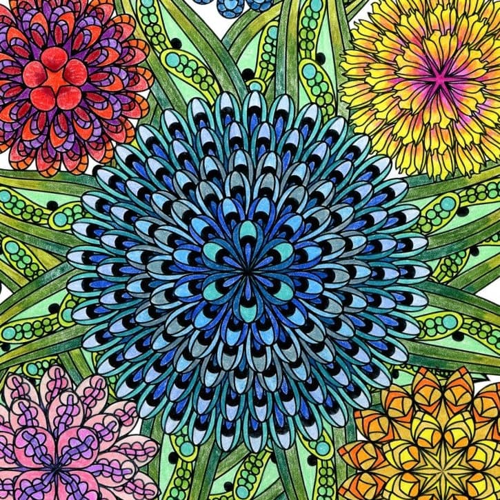 Adult Coloring Books