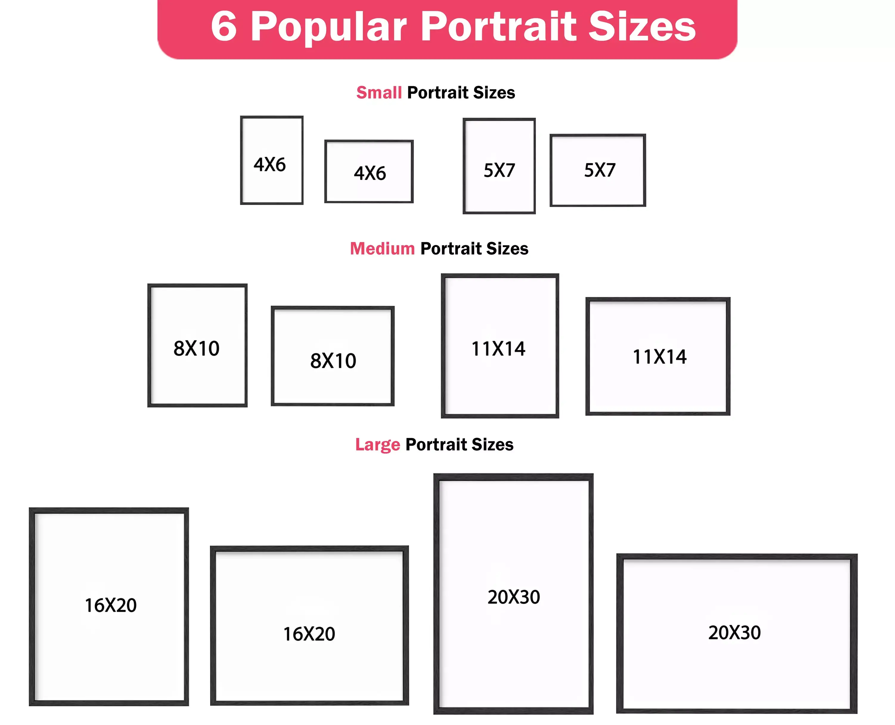 Popular Portrait Sizes Infographic