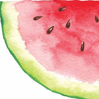 Sliced Watermelons Painting 315 × 315