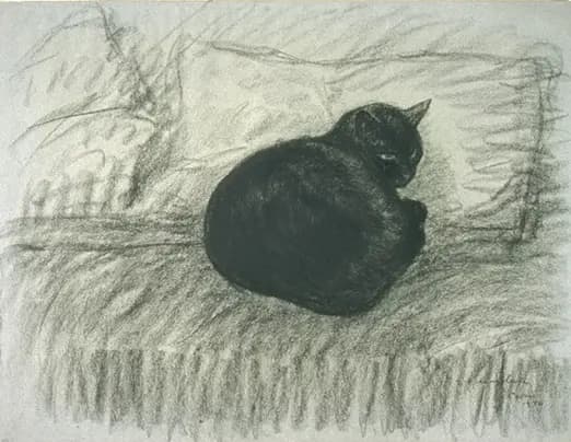 Accro-chat-ge