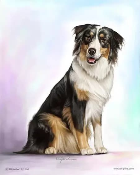 Oilpixel Digital Pet Portrait