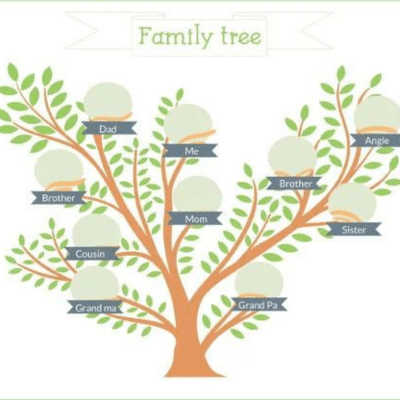 Creating a Detailed Family Tree