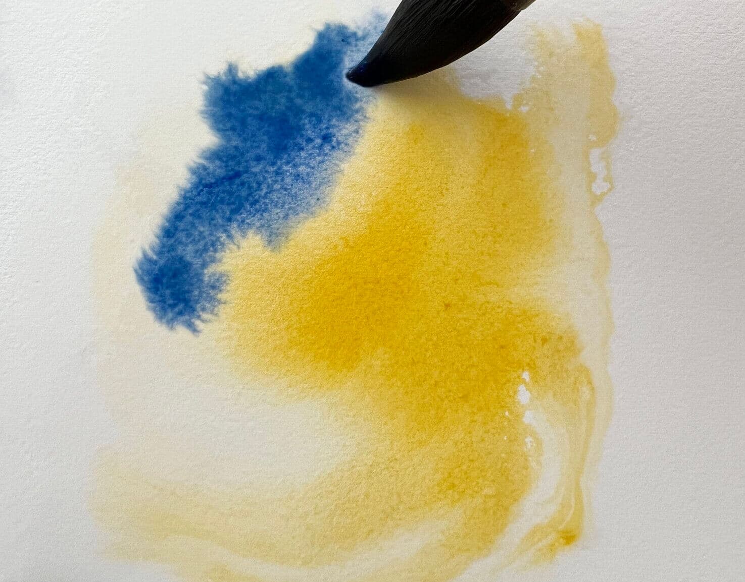 Wet on Wet Painting Watercolors