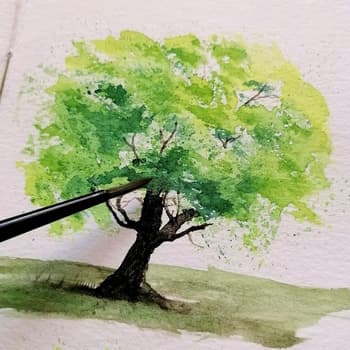 Watercolor Tree Painting