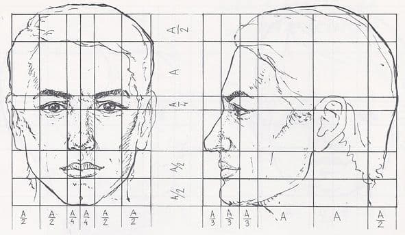 Face Proportions in Art