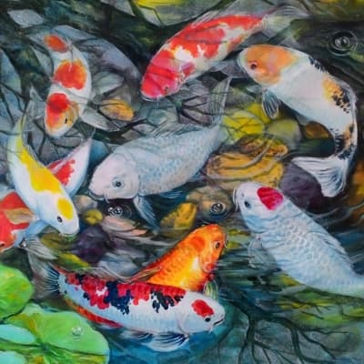 Koi Pond