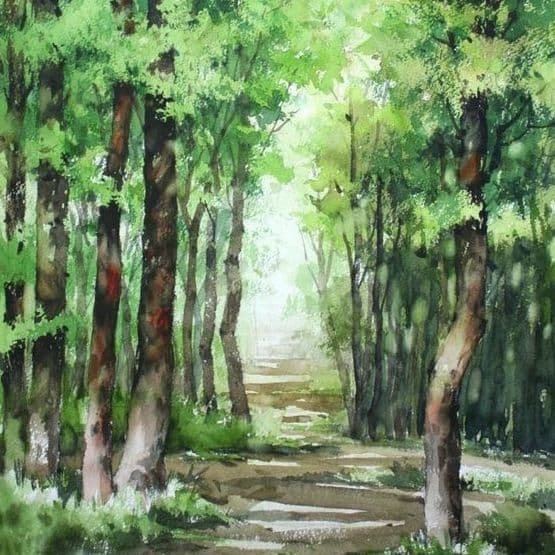 Forest Painting Watercolor 555 × 555