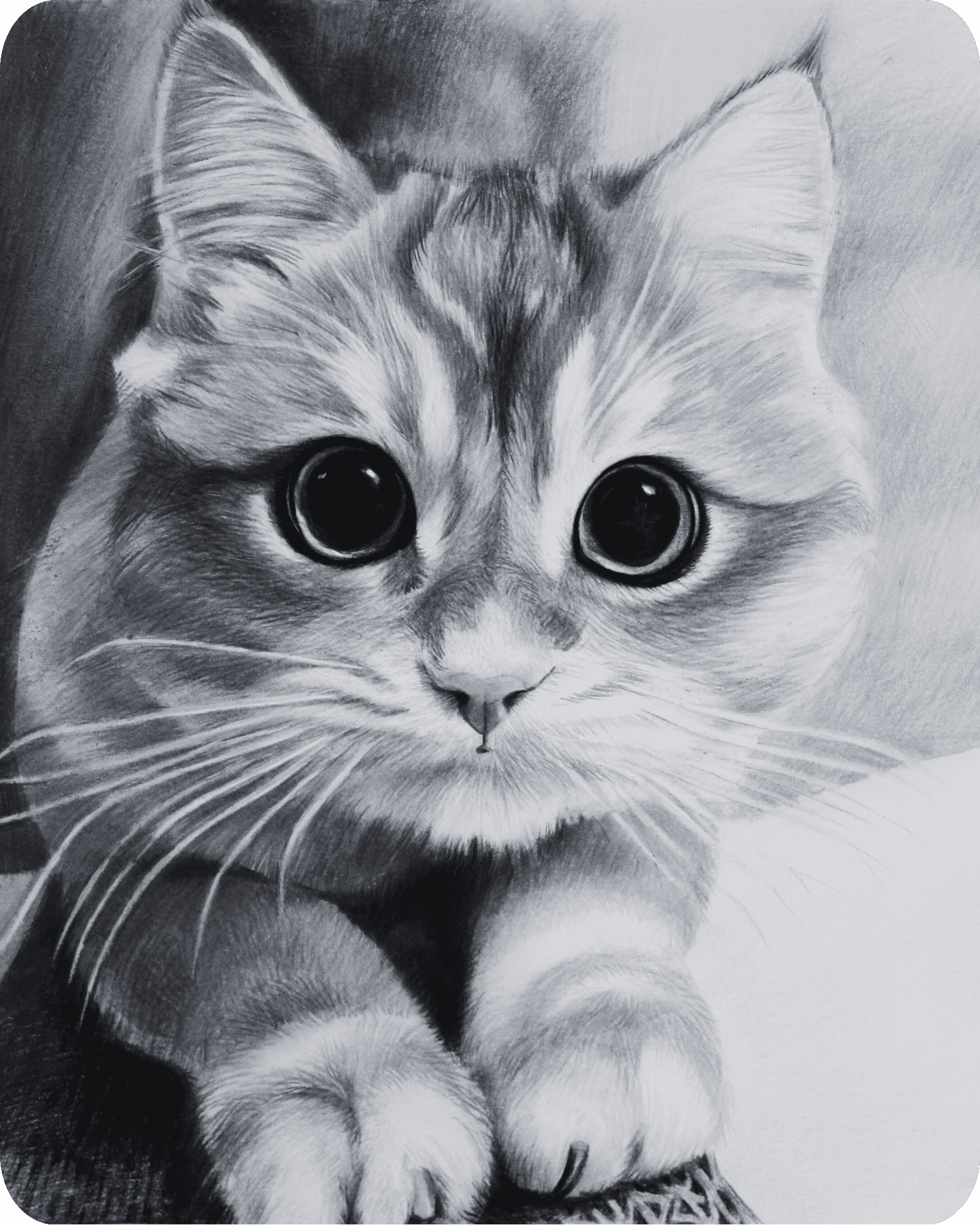 charcoal cat painting