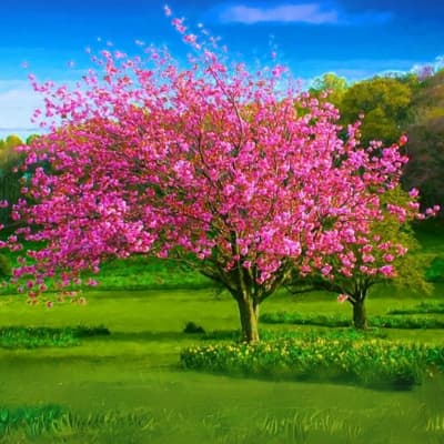 Spring Landscape Painting