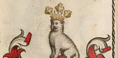 Cat King Germany