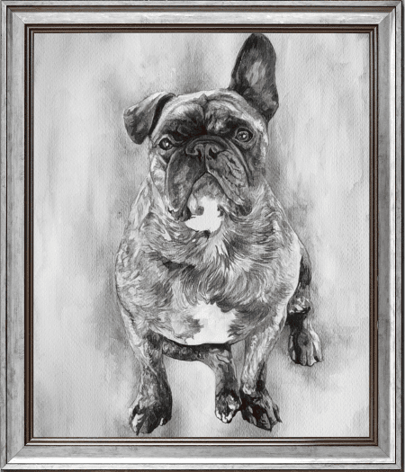 Custom Dog Pencil Drawing