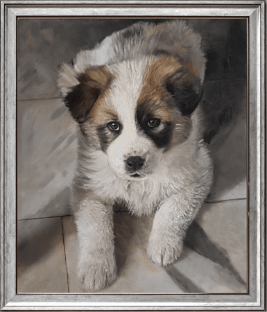 custom color pencil pet portrait from a photo