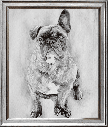 Pencil portrait of a dog