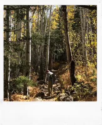 Photo for a Custom Landscape Painting with Acrylics