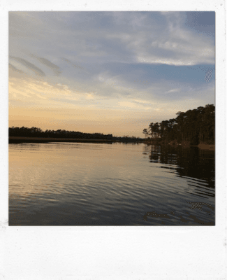 Photo for Landscape Painting