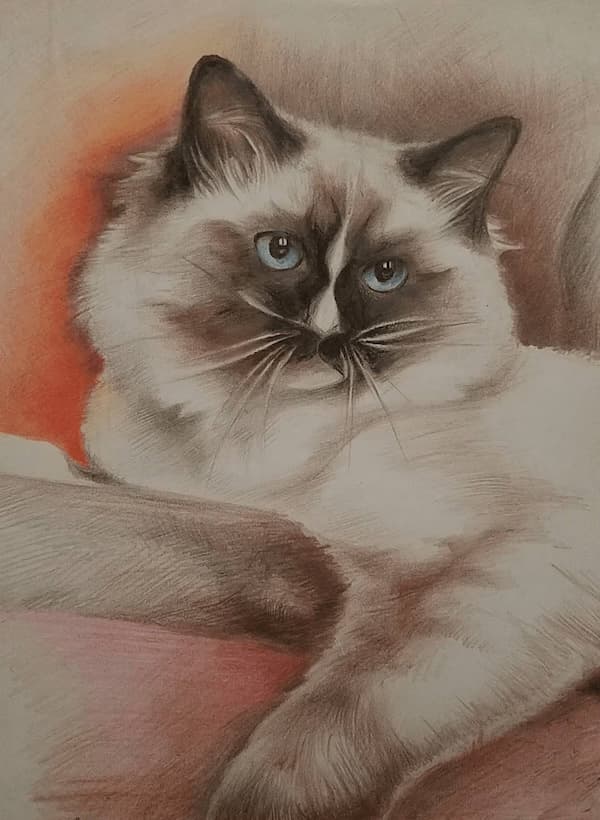 paintedImage