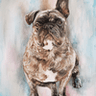 Dog Watercolor Portrait from Photo