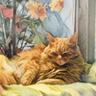 Cat Watercolor Portrait from Photo