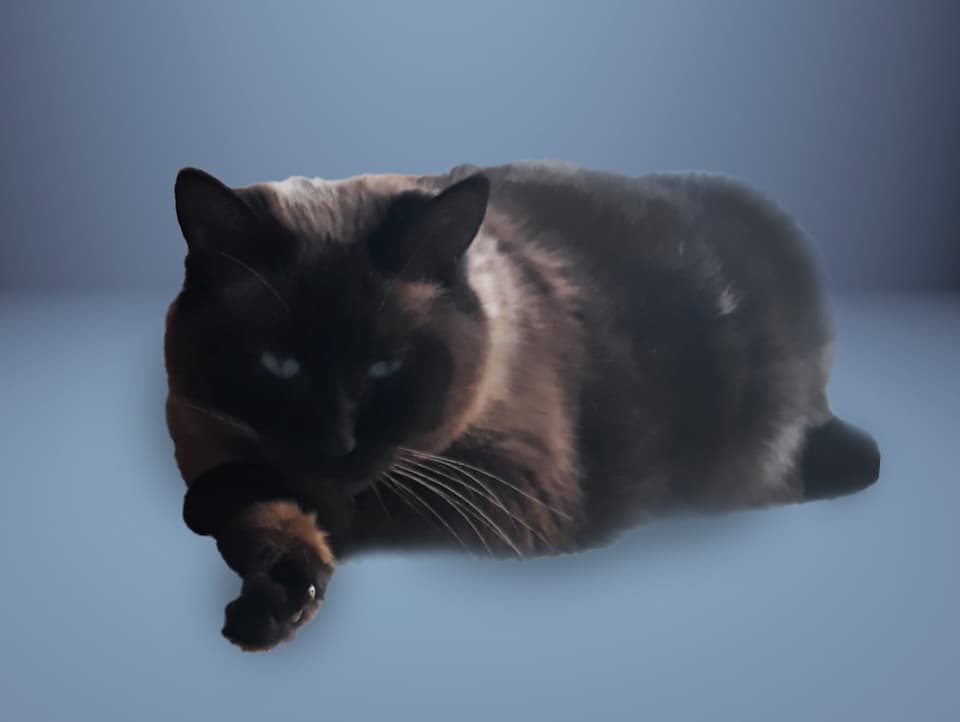 photo for a custom pet portrait