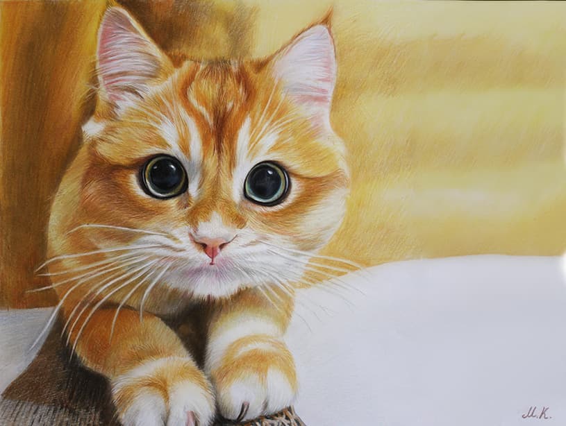 Final Custom Painting of a Cat