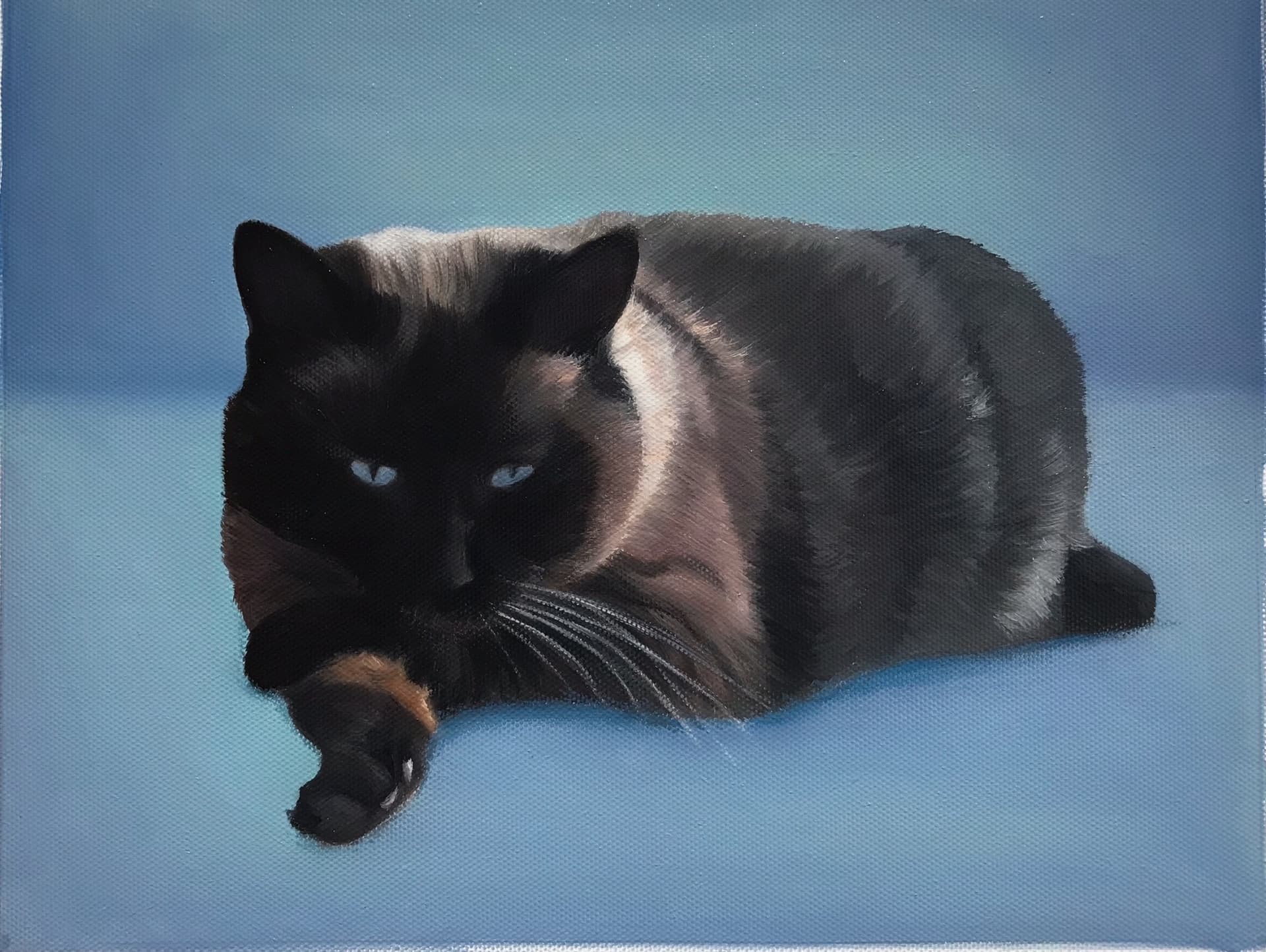 custom pet portrait from a photo - black cat painting