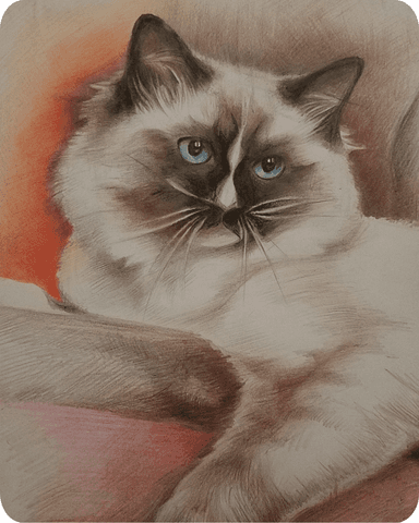personalized cat painting