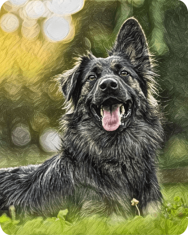 Custom Portrait of a Dog