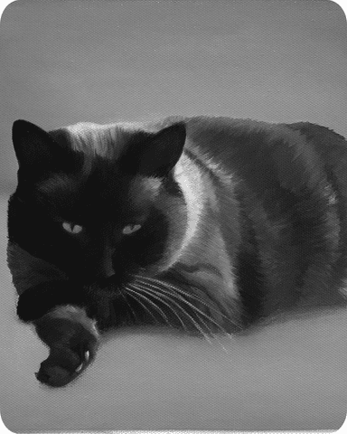 Custom Cat Portrait Example