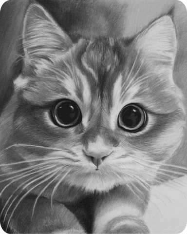 Custom Cat Pencil Drawing Example