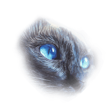 sliderHoverImageUrl
