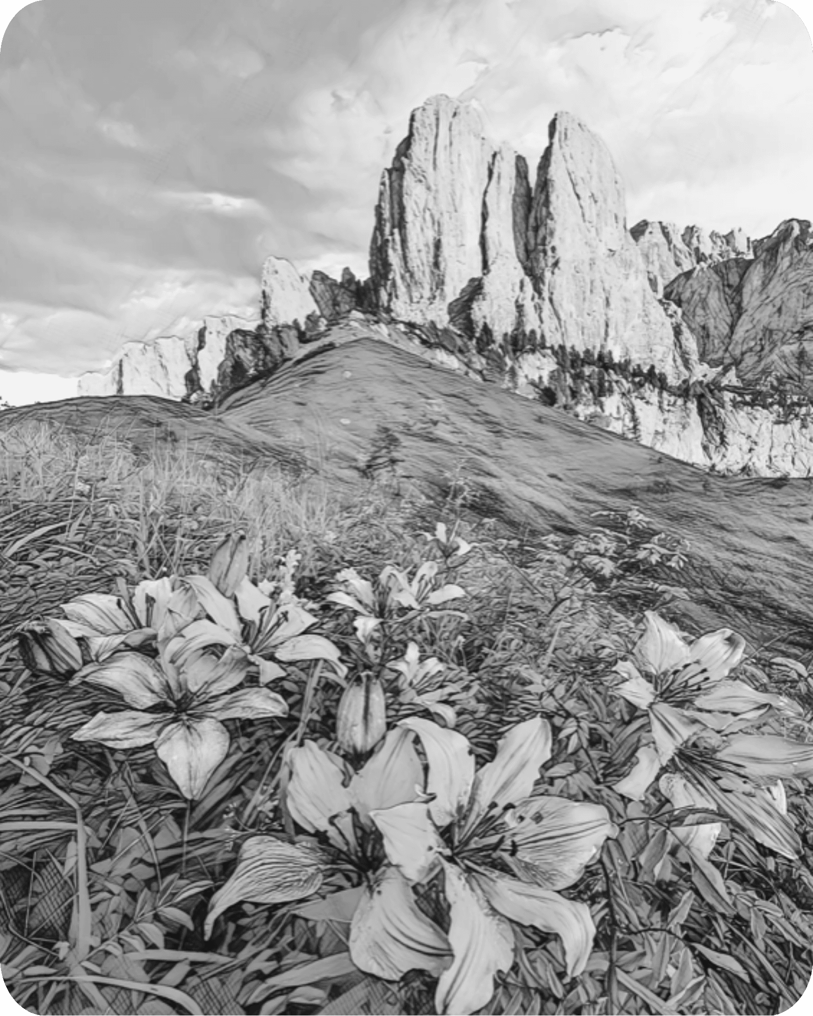 Black pencil drawing