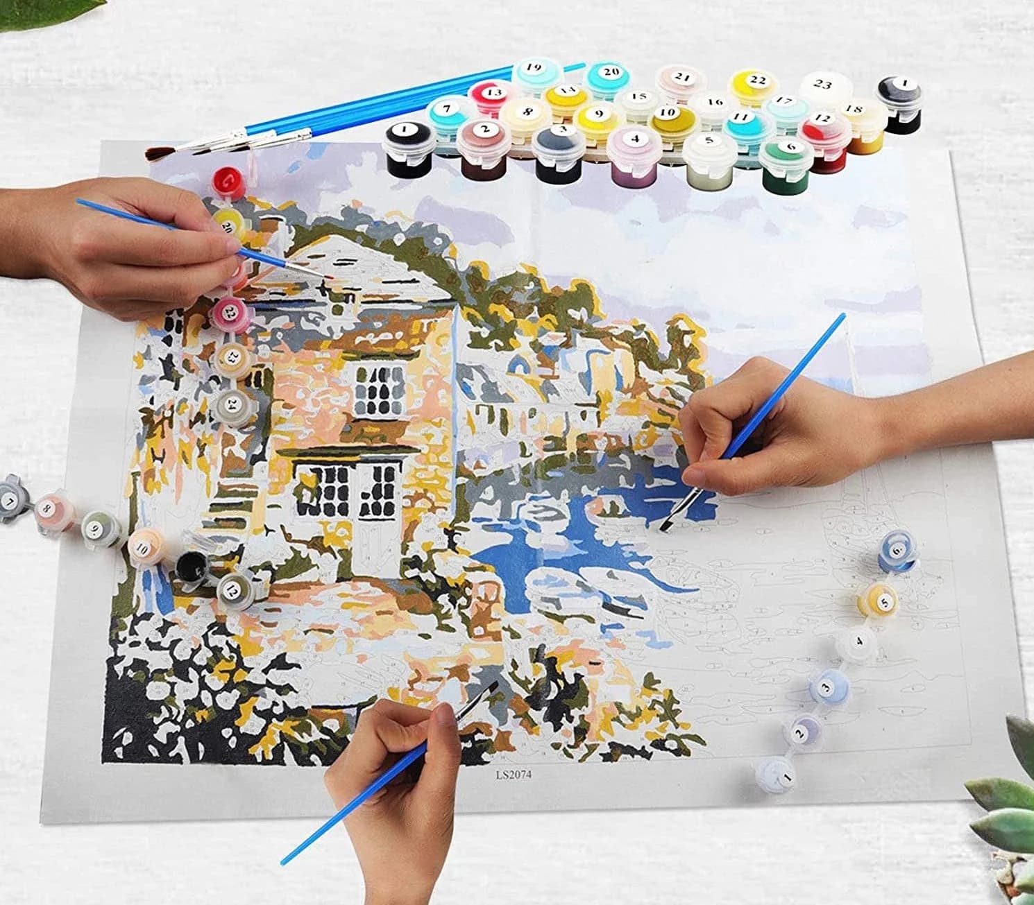 Paint-by-Numbers Kit