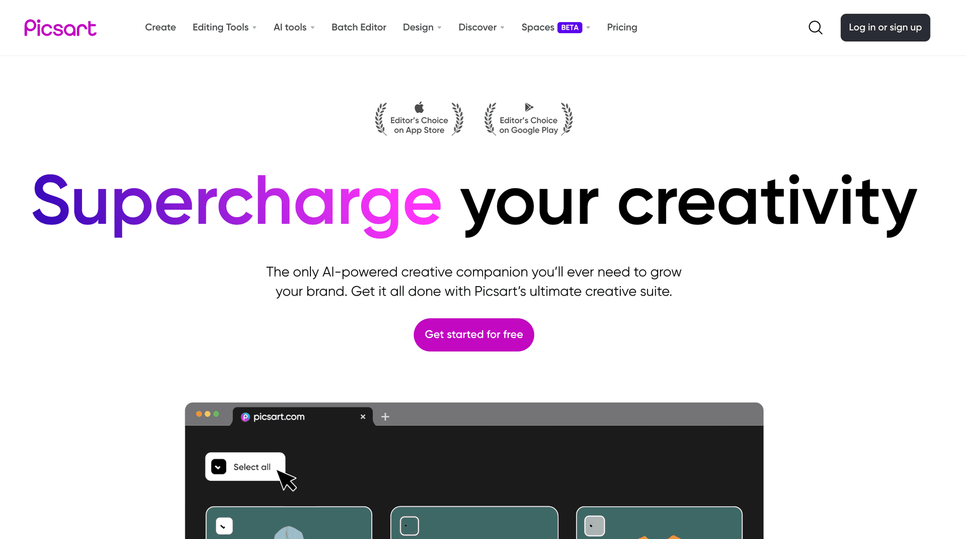 Sreenshot of PicsArt Website