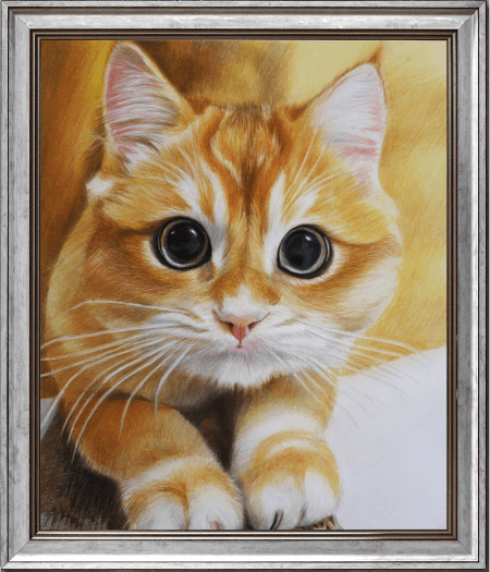 Final Cat Color Pencil Drawing - Orange Cat Portrait